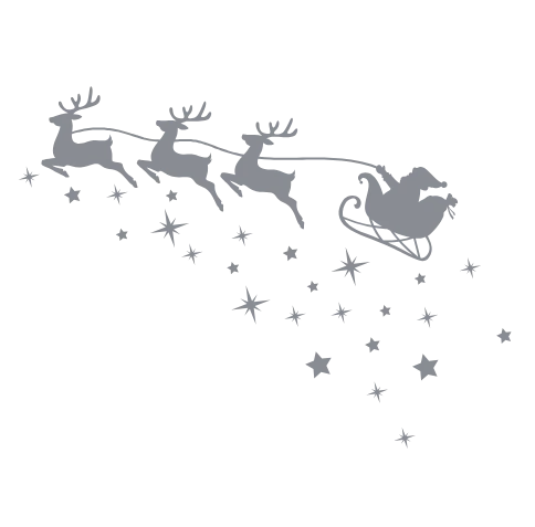 Helicopter with singapore flag