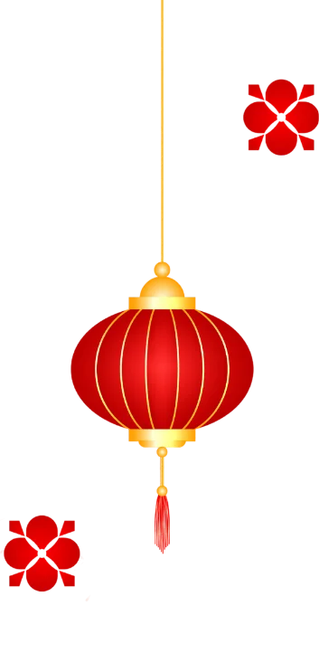 Chinese new year decoration